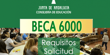 beca-6000-solicitud