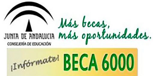 beca-6000